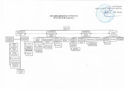 Структурная схема ОГАУ ДО ОСШ по футболу 2026