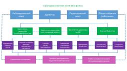 Структурная схема ОГАУ ДО ОСШ по футболу